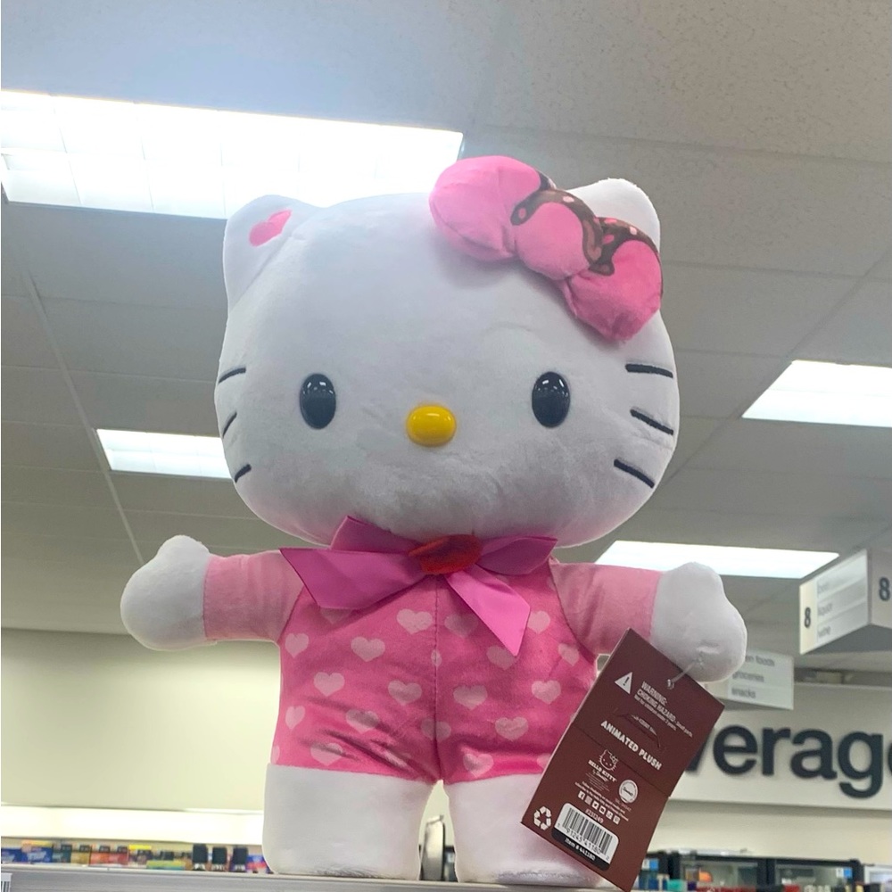 NEW !! HELLO KITTY VALENTINES SIDE STEPPER 2024 SHIPS FAST !